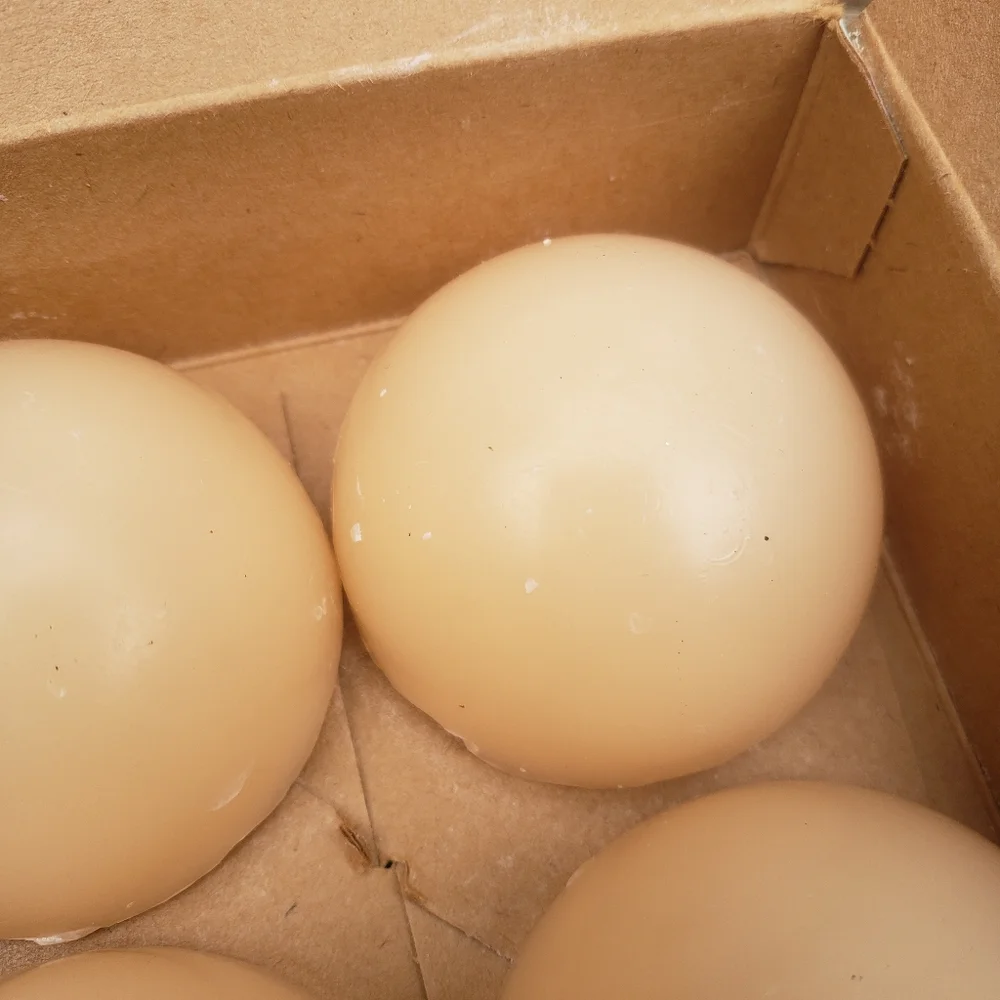 (4) PartyLite French Vanilla Aroma Melts - 2 1/4" - Picture 4 of 14